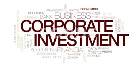 Corporate Investment Strategy